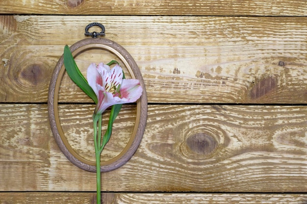 Набор для вышивки крестом с цветочным узором